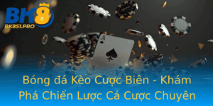 Bong A Keo Cuoc Bien Kham Pha Chien Luoc Ca Cuoc Chuyen Sau