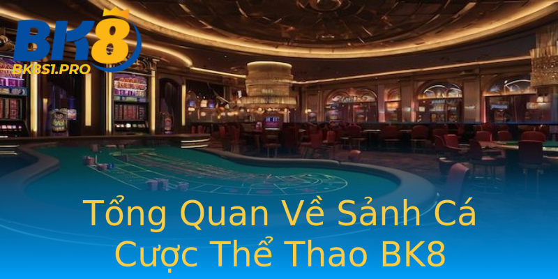 Tổng Quan Về Sảnh Cá Cược Thể Thao BK8 Tổng Quan Về Sảnh Cá Cược Thể Thao BK8