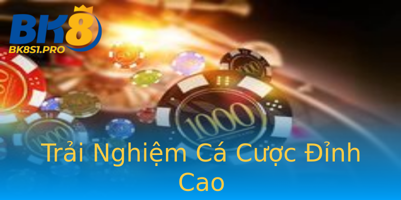 Trải Nghiệm Cá Cược Đỉnh Cao Trải Nghiệm Cá Cược Đỉnh Cao