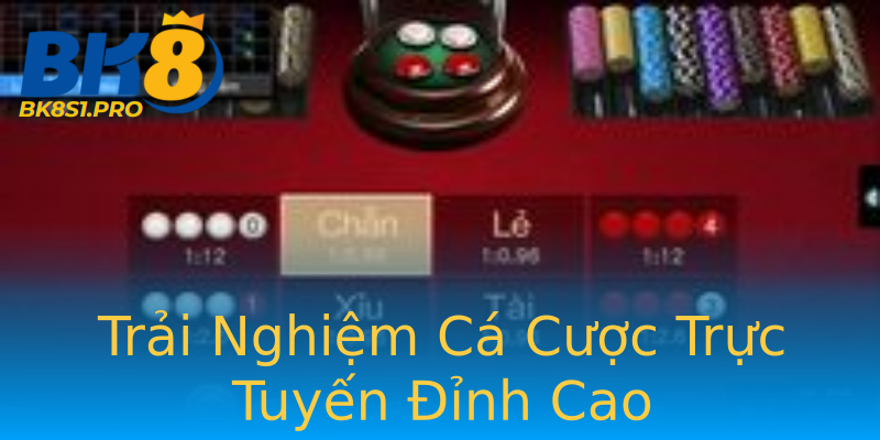 Trải Nghiệm Cá Cược Trực Tuyến Đỉnh Cao Trải Nghiệm Cá Cược Trực Tuyến Đỉnh Cao